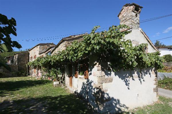 Istrian Experience Villa Socerga ภายนอก รูปภาพ