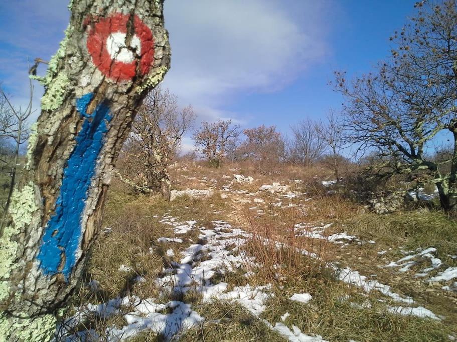 Istrian Experience Villa Socerga ภายนอก รูปภาพ